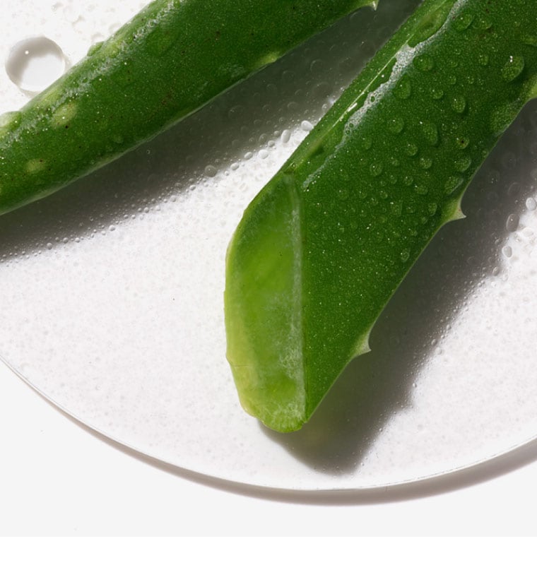 Activated Aloe Water